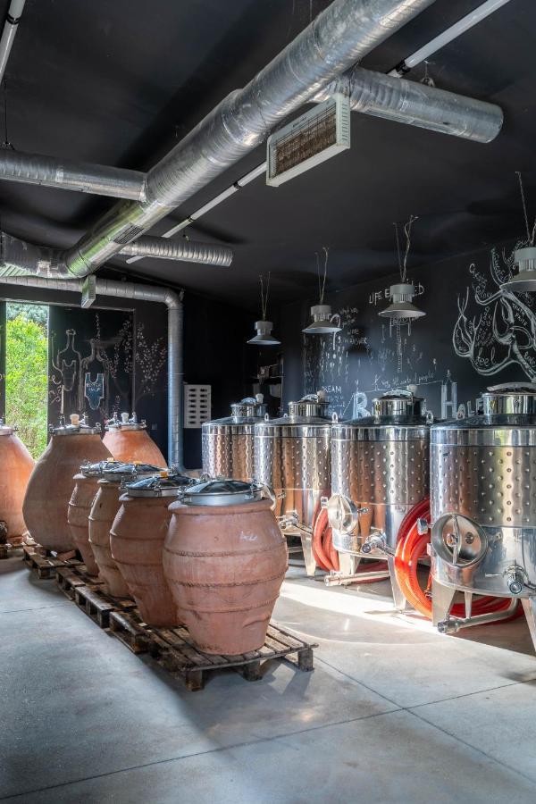 Villa Yana Hotel Winery&Spa Stara Zagora Esterno foto